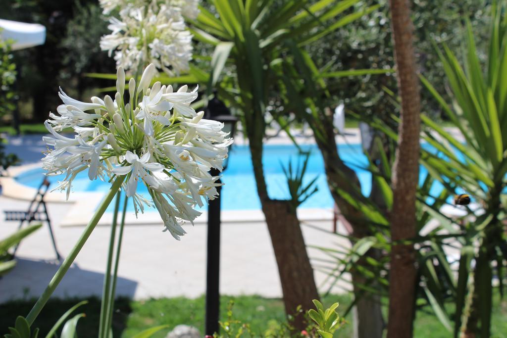 Villa Orchidea Luxury B&B Ispica Ngoại thất bức ảnh